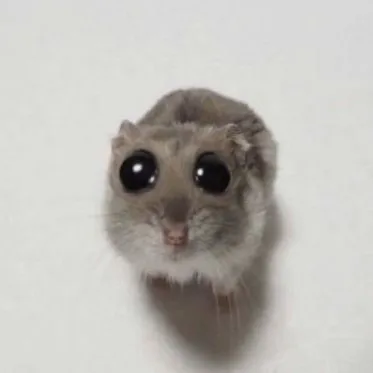 creator Sophielowe's avatar