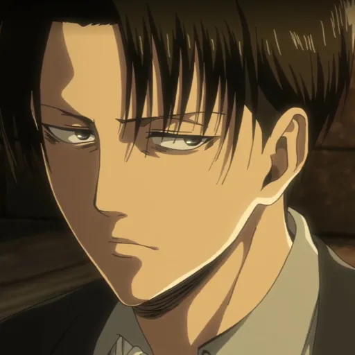 creator Levi___ Ackerman's avatar