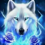 creator Shadowdawn_WCUE's avatar