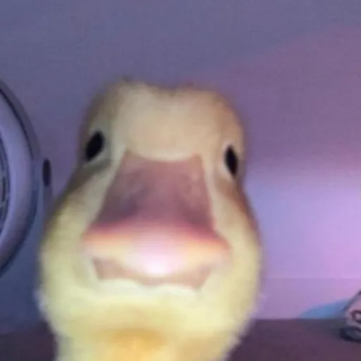 creator 🦦Sabrina🦦's avatar