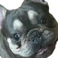 creator Arlo the og.'s avatar