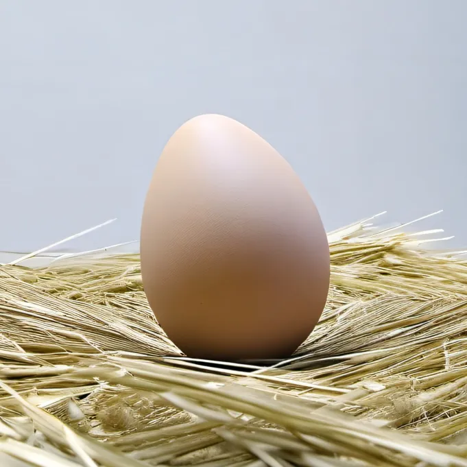 chat with ai character: a chicken egg 