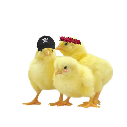 creator chickenmikperi's avatar