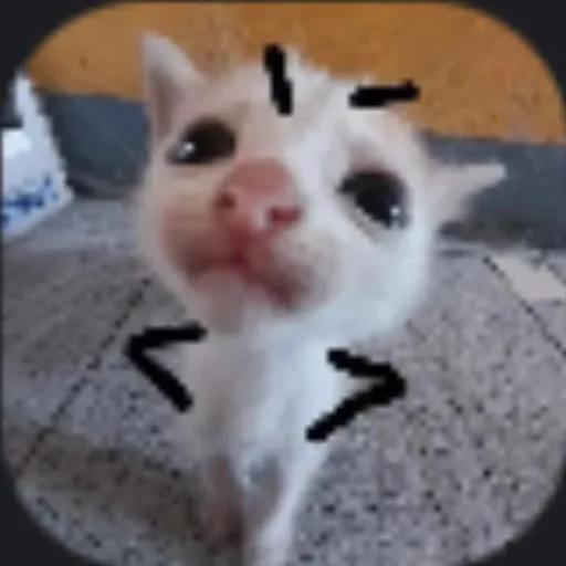 creator Ecca's avatar
