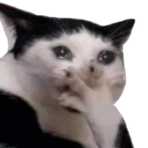 creator Wolffox15's avatar