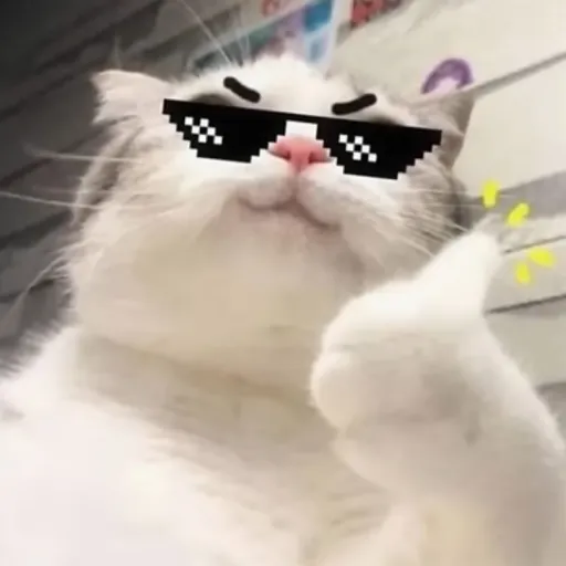 creator SierraSnows's avatar