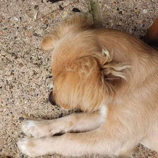 creator DAISYS TALKIES!💓's avatar