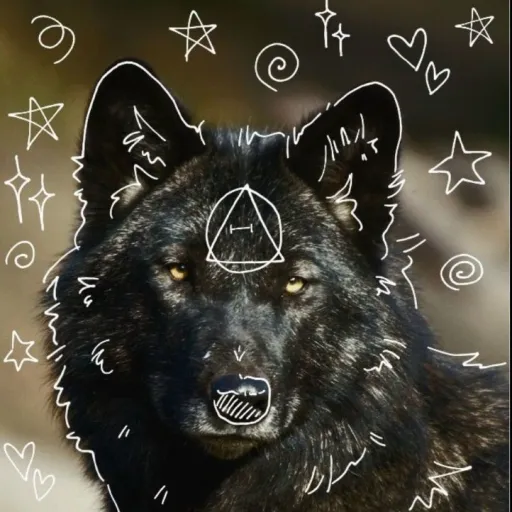 creator Eclipse_black_pawz's avatar
