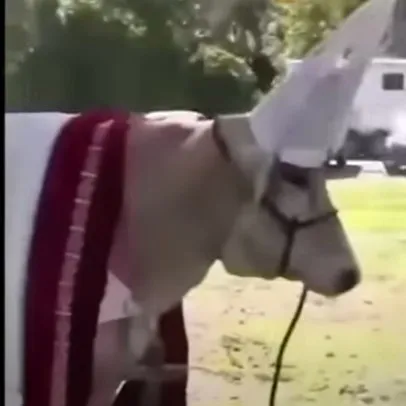 creator Holy Cow's avatar