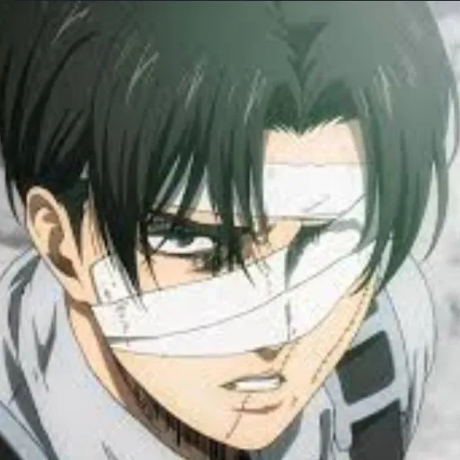 creator Levi Ackerbee's avatar