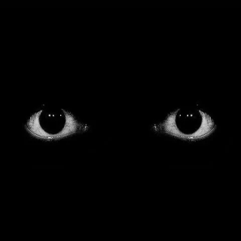 creator ?҉?҉?҉ R U N's avatar