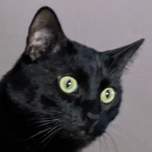 creator Danger.Noodle's avatar