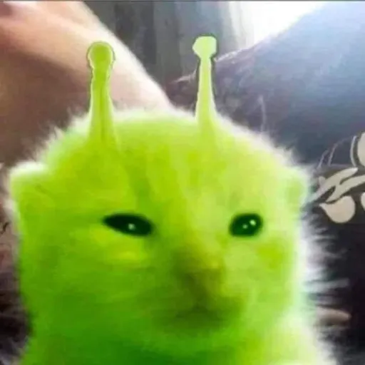 creator max_rosa_kallie.66's avatar