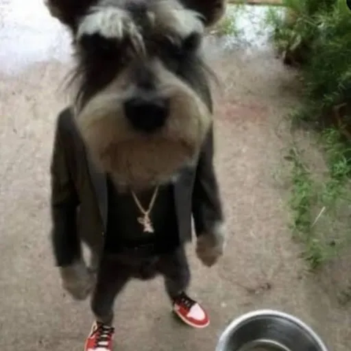 creator Timoothy's avatar