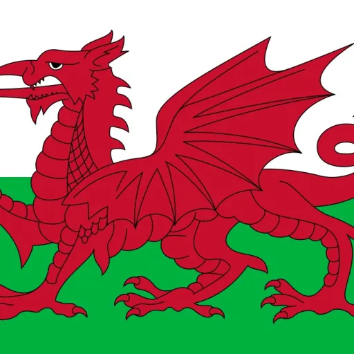 creator Average Welsh dude's avatar