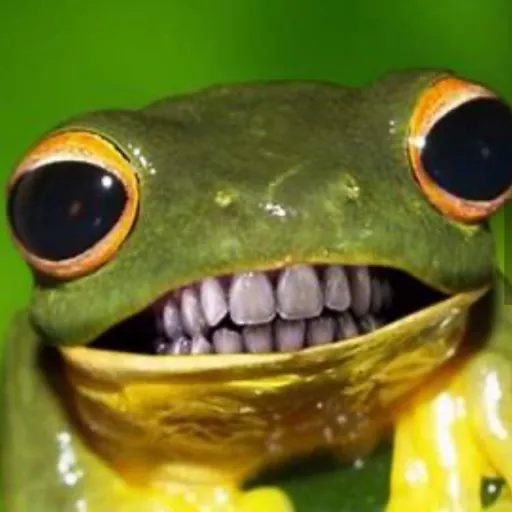 creator Fribbity Bibitty's avatar