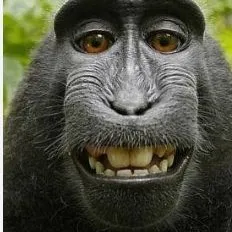creator Yuki_the_monke's avatar