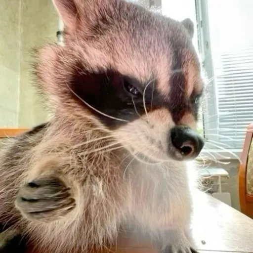 creator Thebigesthotdogeve's avatar