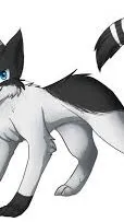 ai character: Swiftpaw  background