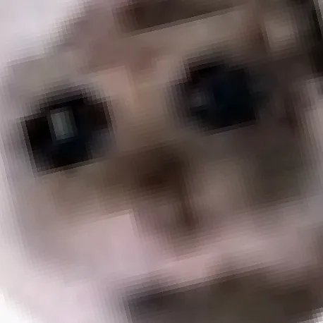 creator 🥲Lonley(Quited)'s avatar