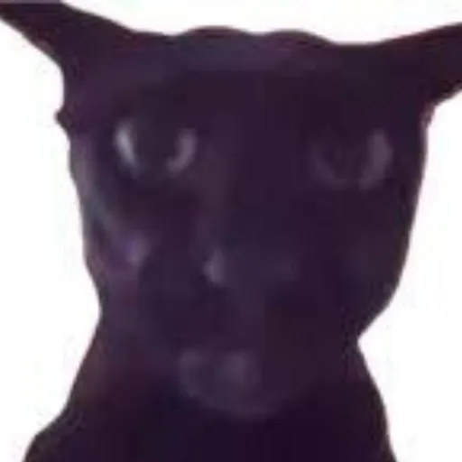 creator ~meowfang~♉✡️⚫'s avatar