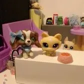 creator Lauren's_lps's avatar