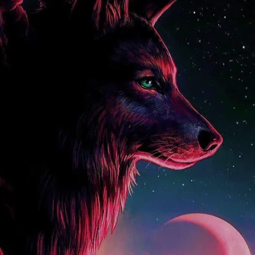 creator shadowgamer's avatar
