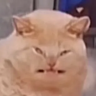 creator U-ANvEmwbNPfVBu's avatar