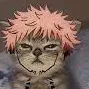 creator Sukuna_cat :3's avatar