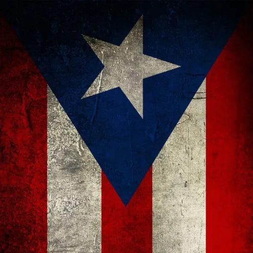 creator El Bori 🇵🇷's avatar