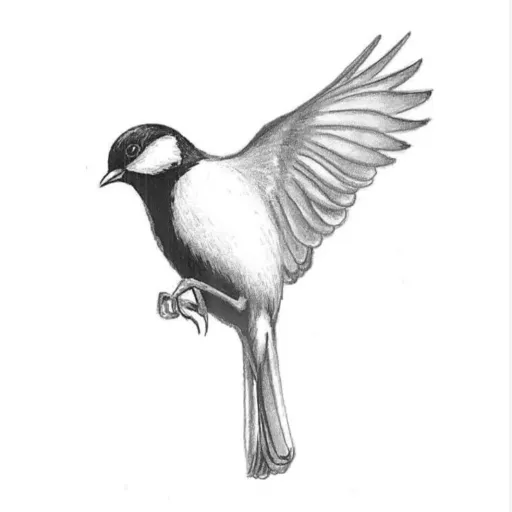 creator ★HarveyGallant★'s avatar