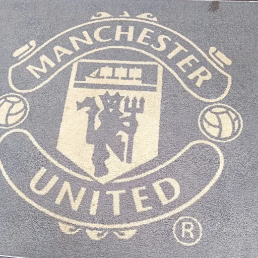 creator ManUtdFan98143938's avatar