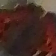creator Phygix's avatar
