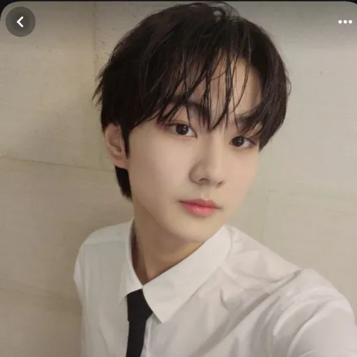 creator ??●?? Amber ??●?'s avatar