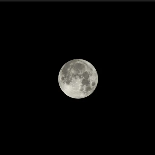creator 🌙✨Moonlit_Sky✨🌙's avatar
