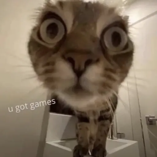 creator śłéêpÿ.hûmäñ's avatar
