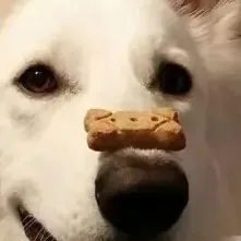 creator °Blueberries's avatar