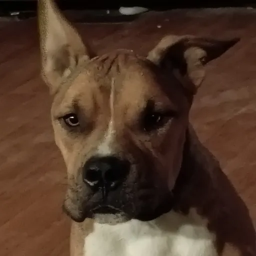 creator I'm just here ✓✓✓'s avatar