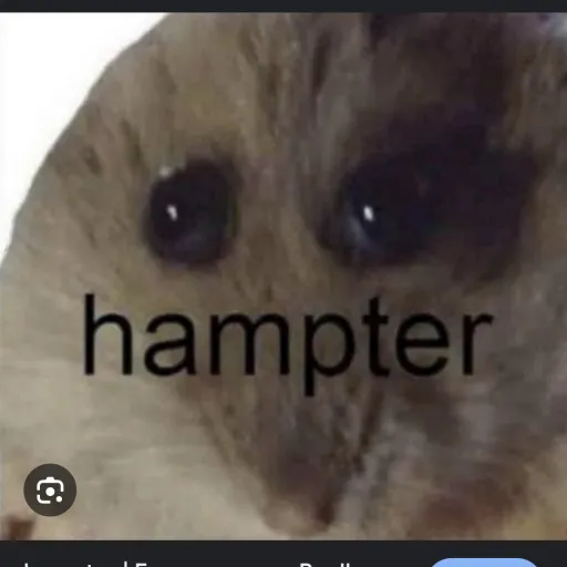 creator meindude5165's avatar