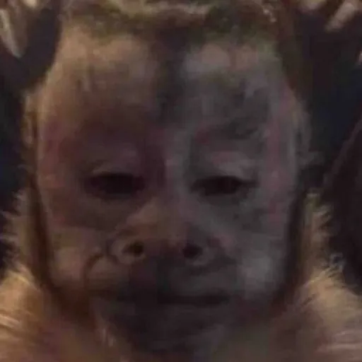 creator 5ktrilla's avatar