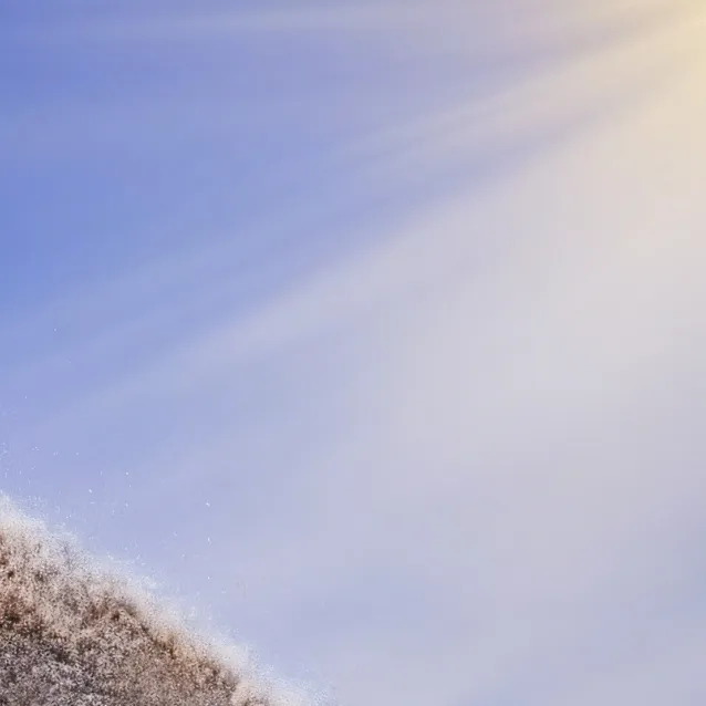 chat with ai character: shgqaglsaqgfdxswgh