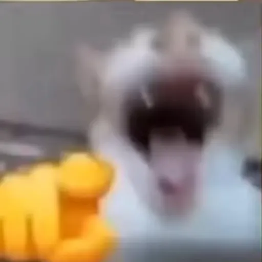 creator Thesimp_obvi's avatar