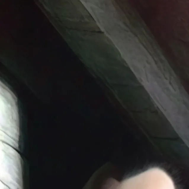 chat with ai character: Dracula
