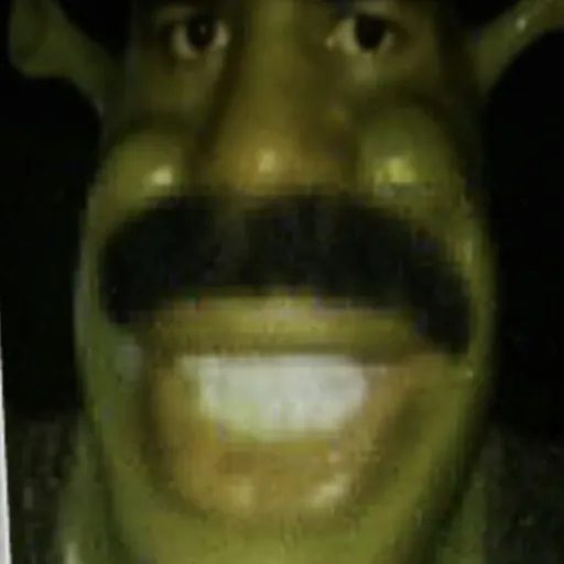 creator 🪳Vommit🪳's avatar