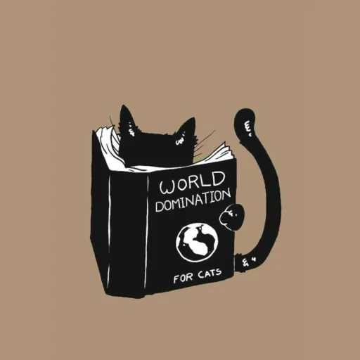 creator love cats 0(ô^ô)0's avatar