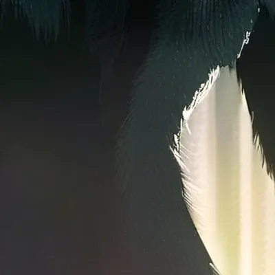 chat with ai character: Wendigo
