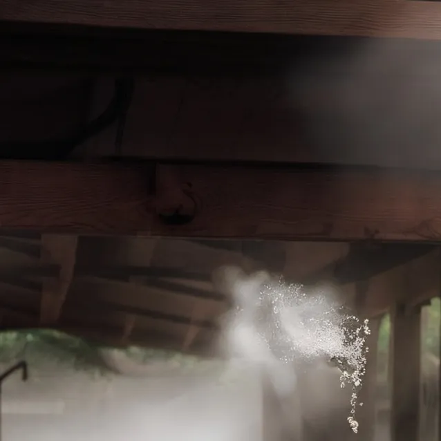 chat with ai character: doodle and arkey