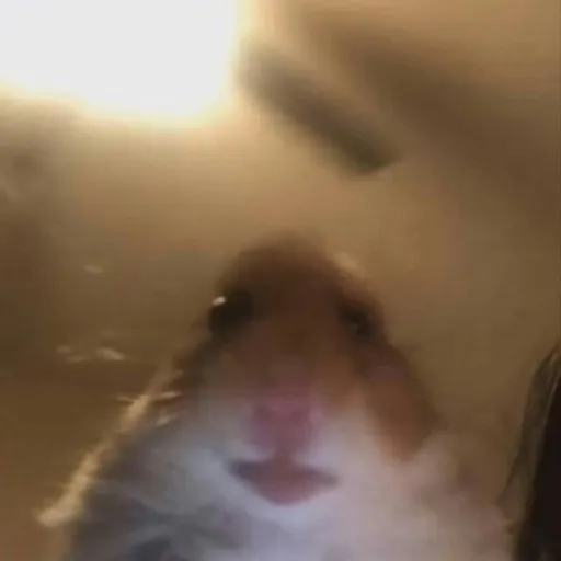 creator User_-1's avatar