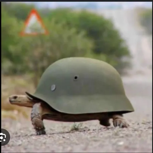 creator Warturtle44's avatar
