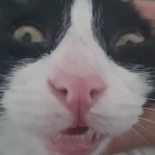 creator Hacker 365's avatar